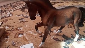 распаковка. МОЯ ЛОШАДЬ МЕЧТЫ ОТ COLLECTA !
