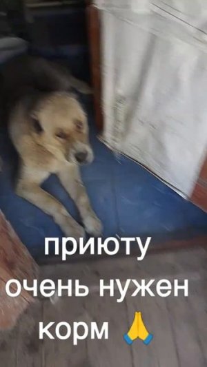 +7985 193 0027 сбер элплат