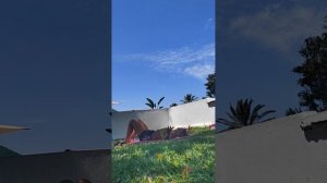 Poli 3