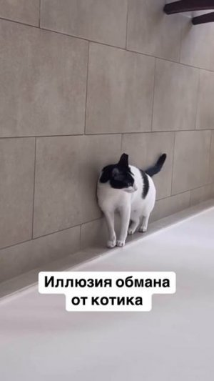 Иллюзия