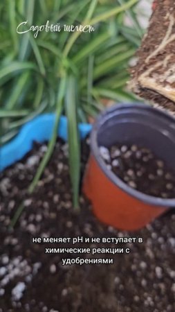 🌿 Агроперлит - полезный субстрат для растений! #shelestsad