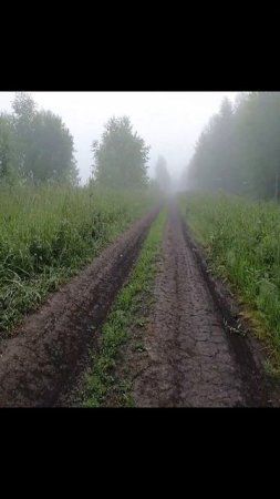 «Перепутал белку с сусликом»