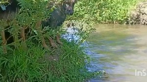 водные процедуры питомника ДНЭ