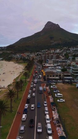 Lion's head