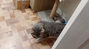 радость в деревне