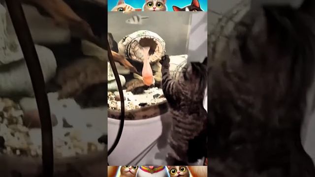 Проект улыбка