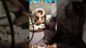 Проект улыбка