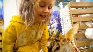 Марго и сестренка Марья Загадочное приключение Video for Kids Margo