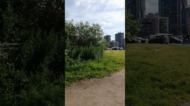 Какими-то тропами