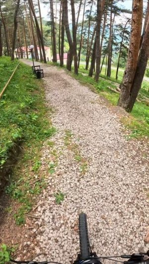 HAGEN 4.10