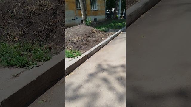 Прогулка с детьми