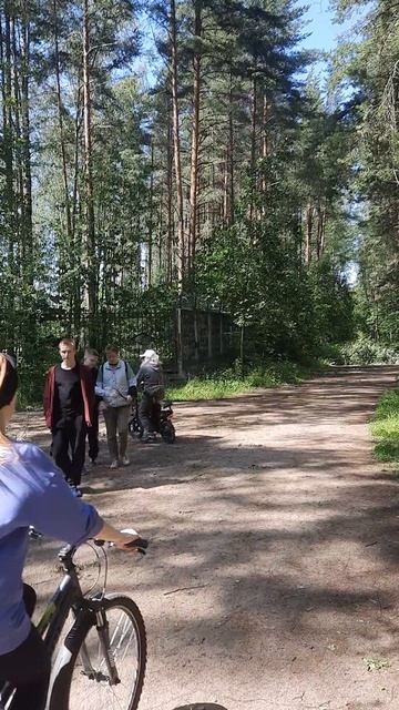 Стрелковый клуб "Олимпиец" в парке Сосновка. Калининский район Санкт-Петербурга. Выстрелы под окнами смотреть онлайн
