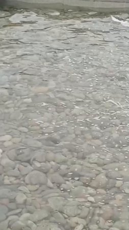 сколько же слов мне обидных ты в сердцах могла сказать