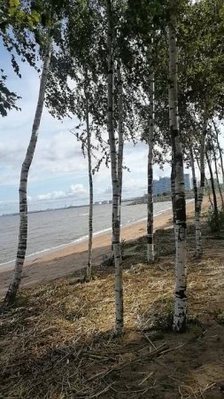 Наш самолет вперед летит