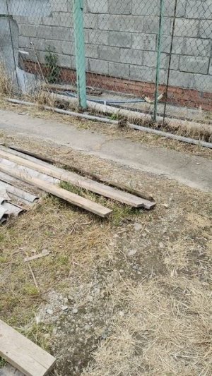 В кафе готовы приходить в любое время суток, но меня пока стесняются.