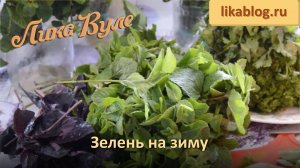 Как правильно заморозить зелень на зиму