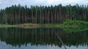 Утро.Рыбалка