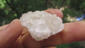 MVI_5412