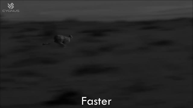 Официальный ролик Компании. Бренд CYGNUS.