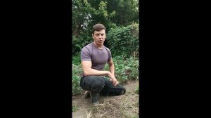 Не растут помидоры. Как помочь?🍅🍅🍅