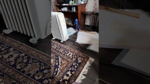 приоделся в непогоду.
