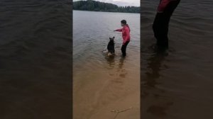 учим плавать