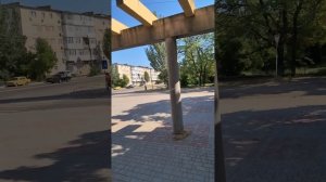 Экзотические деревья рядом