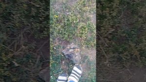 1000019172.mp4