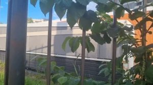 Прогулка по улицам города ч.2