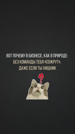 Без команды ты просто бабуин, а не бизнес-герой! 🐒🤝 Согласен? Сохрани!