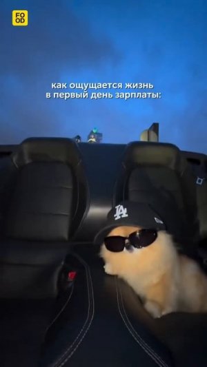 А дальше — все как в тумане  #foodru #мем