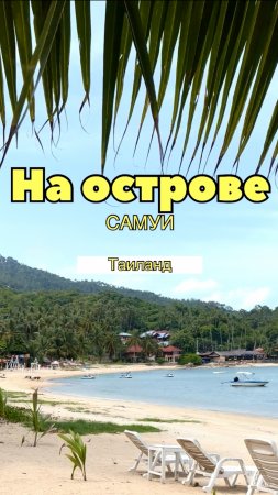 На острове Самуи. Таиланд.