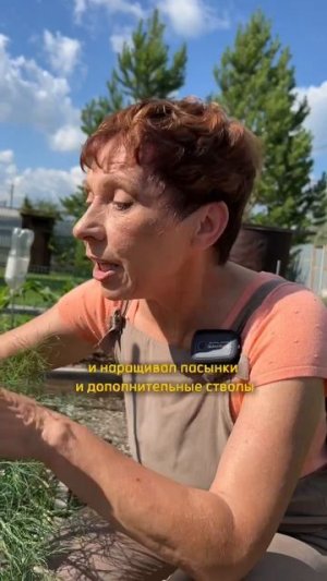 ФОРМИРУЕМ ПЕРЦЫ ПРАВИЛЬНО!