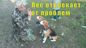 ОЧЕНЬ БОЛЬНО НА ЭТО СМОТРЕТЬ/ ВЕЧЕРОМ БАНДОЙ В ЛЕС/  28 июня 2025