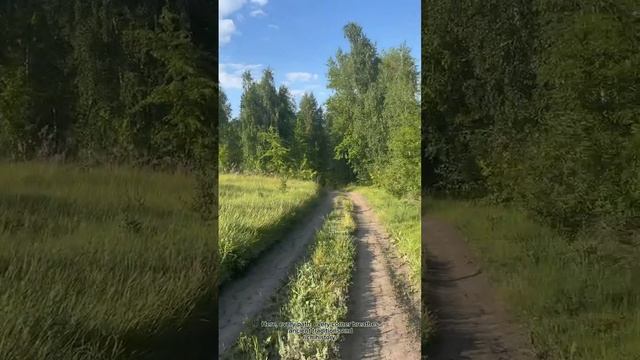 Ангелина Селищева, 4 возрастная категория