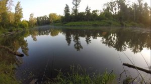 Самарская область рыбалка на маховую удочку ловля карася на перловку