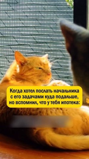 Кто в такой же ситуации?