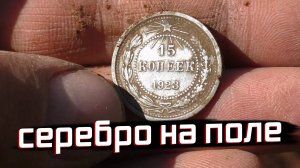 ТАЙНЫ ДЕРЕВЕНСКОГО ПОЛЯ: СЕРЕБРЯНЫЕ МОНЕТЫ И ДРЕВНОСТИ.
