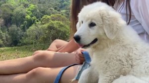 Linh - Je pense à vous