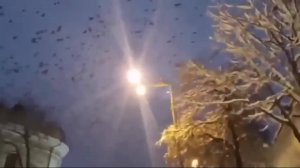 "Над Киевом кружат вороны", поёт Сергей ГроZа