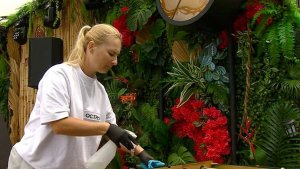 Рестораны и ночные клубы Сочи проверили на соблюдение санитарных норм