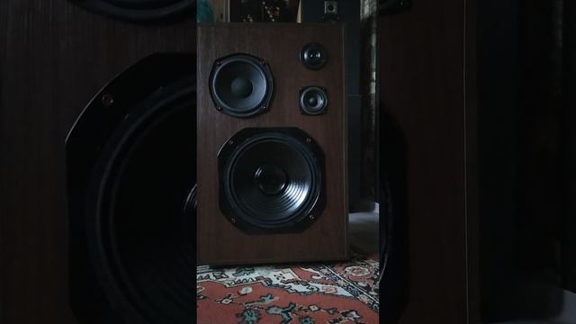 1000042386.mp4