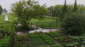 Дождливый пасмурный деревенский день