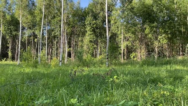 Колбино 2 смотреть онлайн