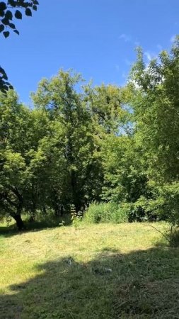 Парк в ясный день