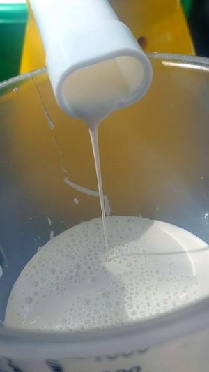 Выход сливок из молока камерунских коз