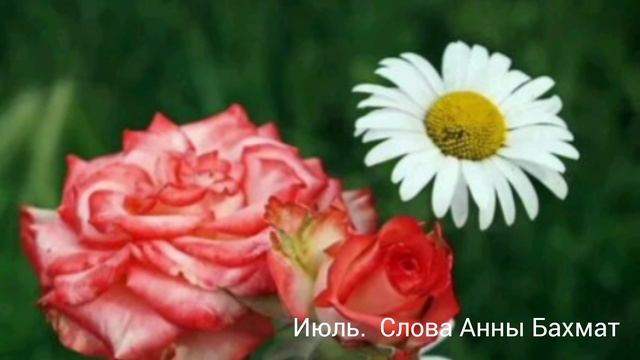 Июль.Анна Бахмат