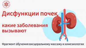 Дисфункции почек, какие заболевания вызывают. Фрагмент обучения