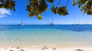 Невероятное море, песок, пальмы