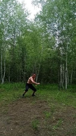 Кунг-фу 8 shorts